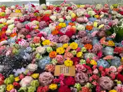 住吉神社の手水