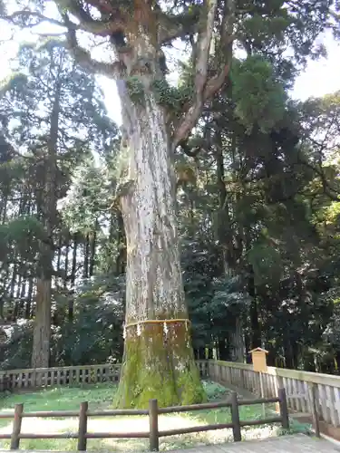 霧島神宮(鹿児島県)