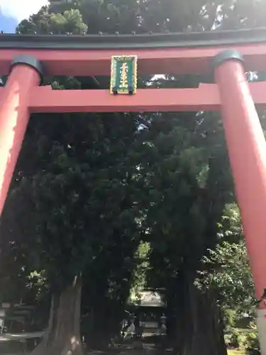 河口浅間神社の鳥居