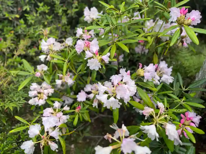 子安地蔵寺の{uncategorized: "未分類", other: "その他", undefined: "問題あり", building: "その他建物", grave: "お墓", sacred_gate: "鳥居", guardian: "狛犬", statue: "像", buddha: "仏像", history: "歴史", nature: "自然", garden: "庭園", animal: "動物", pagoda: "塔", temizu: "手水舎", mountain_gate: "山門・神門", sanctuary: "本殿・本堂", subordinate: "末社・摂社", art: "芸術", scenery: "景色", jizo: "地蔵", ema: "絵馬", goshuin: "御朱印", omikuji: "おみくじ", items: "授与品その他", amulet: "お守り", goshuincho: "御朱印帳", eats: "食事", festival: "お祭り", votive_dance: "神楽", shichigosan: "七五三参", wedding: "結婚式", experience: "体験その他", initially: "初詣", around: "周辺", anti_infection: "感染症対策"}