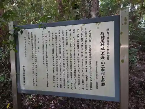 石楯尾神社の歴史