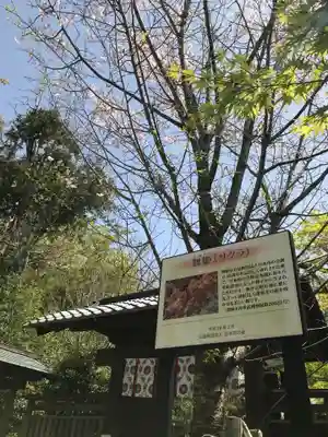 鎌倉宮のその他建物