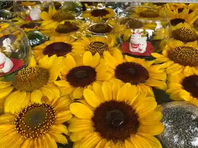 竹駒神社の手水舎