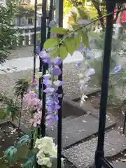 北澤八幡神社の建物その他