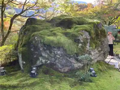 宝厳院(京都府)