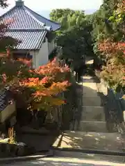 恩智神社の建物その他