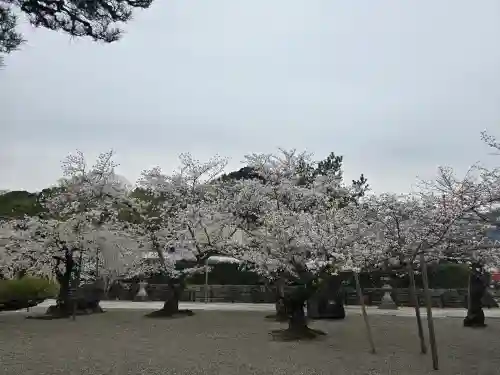御池坊（粉河寺本坊）(和歌山県)