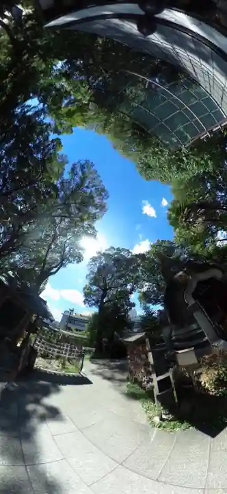 上野大佛(東京都)