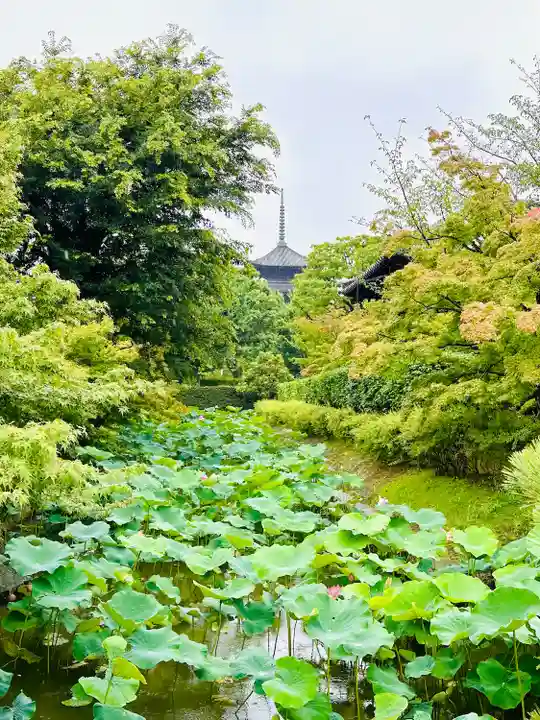 東寺(教王護国寺)(京都府)