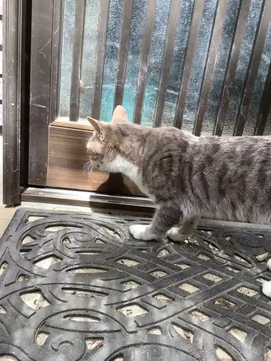 玉野御嶽神社の動物