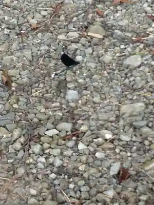 子眉嶺神社(福島県)