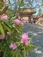 高野山金剛峯寺(和歌山県)