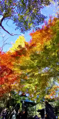 深大寺のその他建物