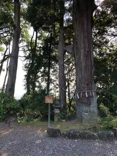 熊野那智神社の自然