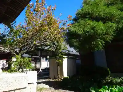 善力寺(滋賀県)