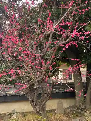 郷荘神社(大阪府)