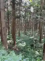 磐椅神社(福島県)