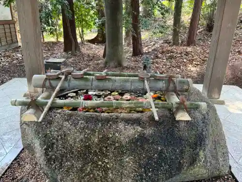 井伊谷宮の{uncategorized: "未分類", other: "その他", undefined: "問題あり", building: "その他建物", grave: "お墓", sacred_gate: "鳥居", guardian: "狛犬", statue: "像", buddha: "仏像", history: "歴史", nature: "自然", garden: "庭園", animal: "動物", pagoda: "塔", temizu: "手水舎", mountain_gate: "山門・神門", sanctuary: "本殿・本堂", subordinate: "末社・摂社", art: "芸術", scenery: "景色", jizo: "地蔵", ema: "絵馬", goshuin: "御朱印", omikuji: "おみくじ", items: "授与品その他", amulet: "お守り", goshuincho: "御朱印帳", eats: "食事", festival: "お祭り", votive_dance: "神楽", shichigosan: "七五三参", wedding: "結婚式", experience: "体験その他", initially: "初詣", around: "周辺", anti_infection: "感染症対策"}