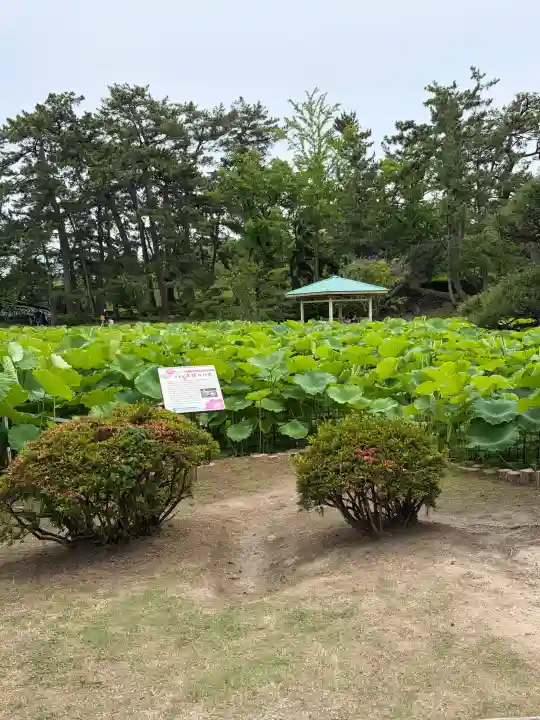 白山神社(新潟県)