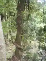 神明神社(愛知県)