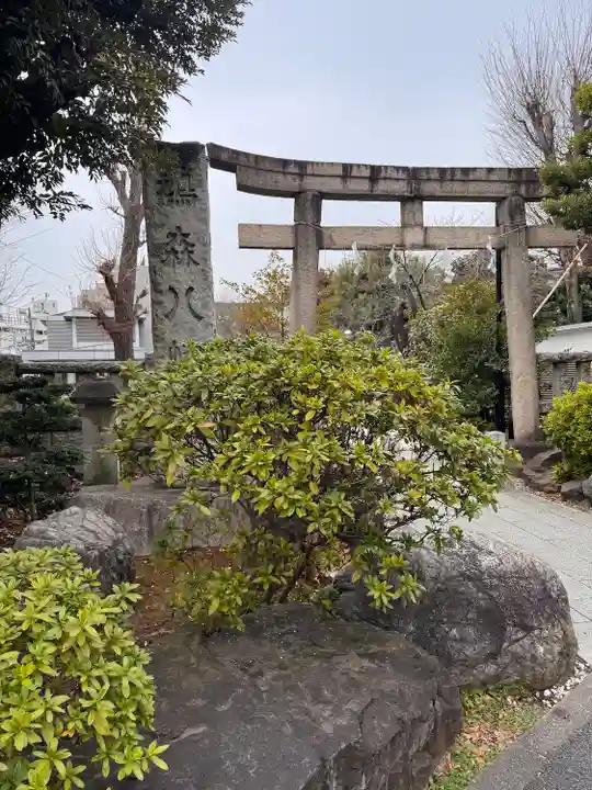 鳩森八幡神社の鳥居