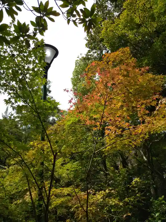 五流尊瀧院の自然