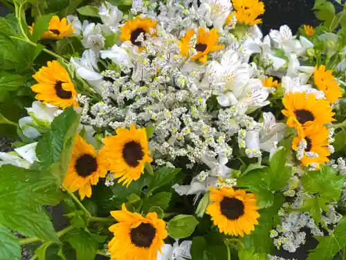 上尾御嶽神社の手水舎