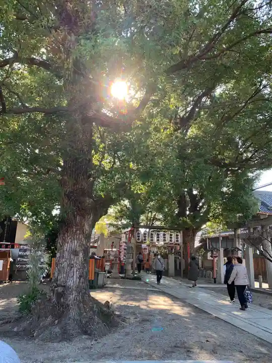 我堂八幡宮の自然