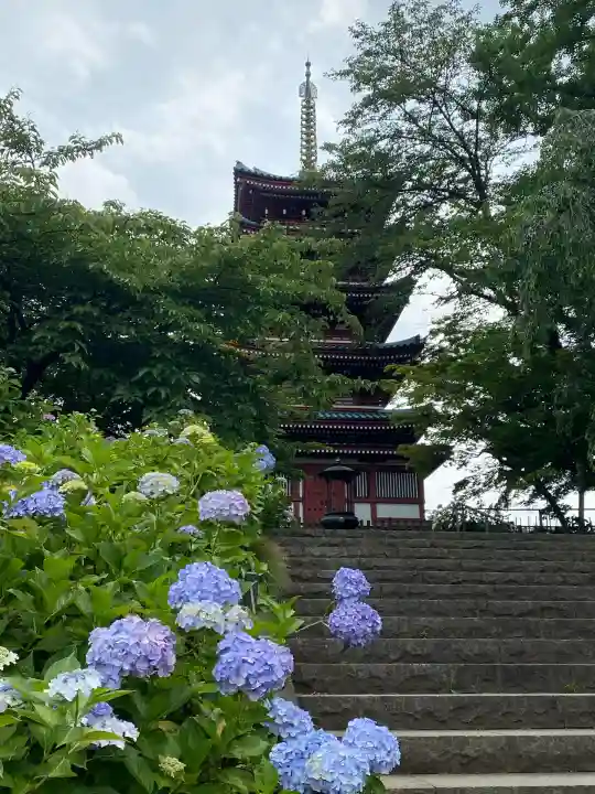 本土寺(千葉県)
