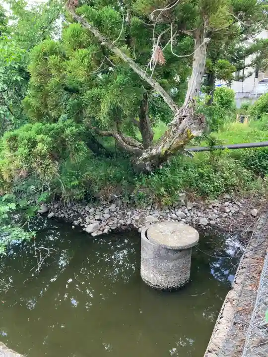 上殿町厳島神社の{uncategorized: "未分類", other: "その他", undefined: "問題あり", building: "その他建物", grave: "お墓", sacred_gate: "鳥居", guardian: "狛犬", statue: "像", buddha: "仏像", history: "歴史", nature: "自然", garden: "庭園", animal: "動物", pagoda: "塔", temizu: "手水舎", mountain_gate: "山門・神門", sanctuary: "本殿・本堂", subordinate: "末社・摂社", art: "芸術", scenery: "景色", jizo: "地蔵", ema: "絵馬", goshuin: "御朱印", omikuji: "おみくじ", items: "授与品その他", amulet: "お守り", goshuincho: "御朱印帳", eats: "食事", festival: "お祭り", votive_dance: "神楽", shichigosan: "七五三参", wedding: "結婚式", experience: "体験その他", initially: "初詣", around: "周辺", anti_infection: "感染症対策"}