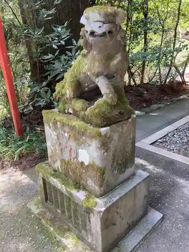 箱根神社の狛犬