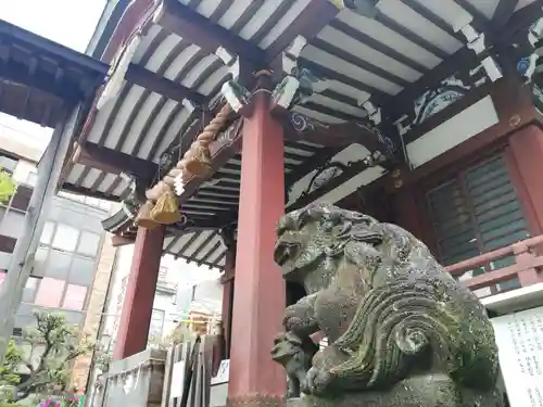 柏神社の狛犬