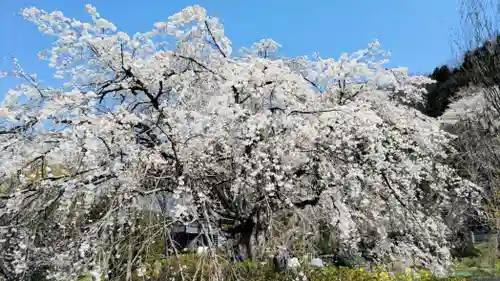 法善寺(埼玉県)