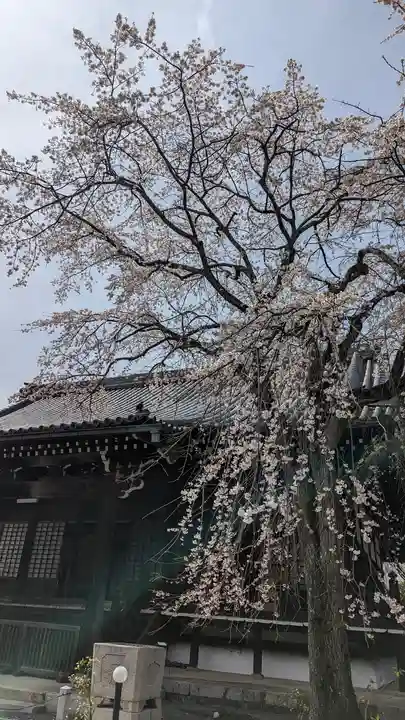 妙満寺(京都府)