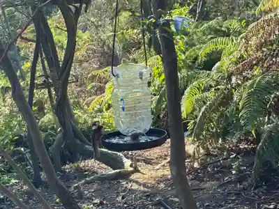 峯神社(大麻比古神社奥宮)(徳島県)