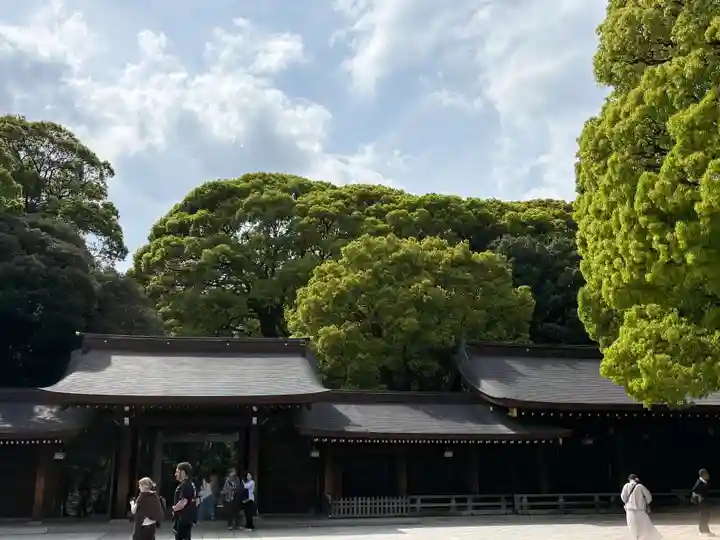 明治神宮(東京都)