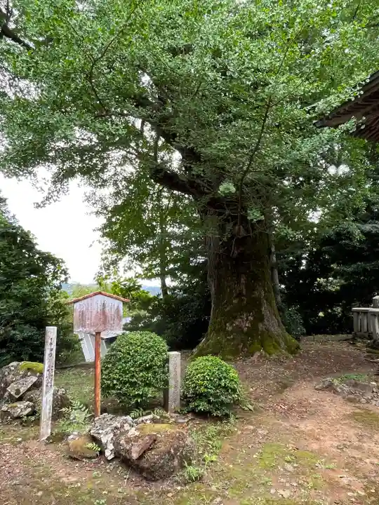 松尾寺(京都府)