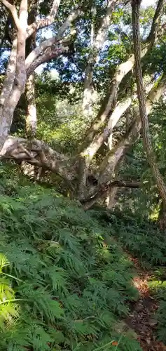 天津神明宮のその他建物