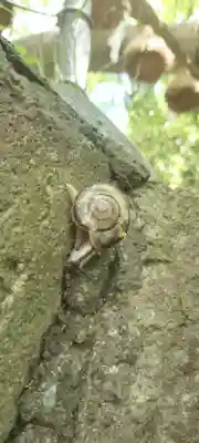 本牧神社(神奈川県)