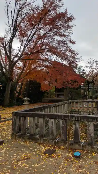 観音寺(山崎聖天)(京都府)