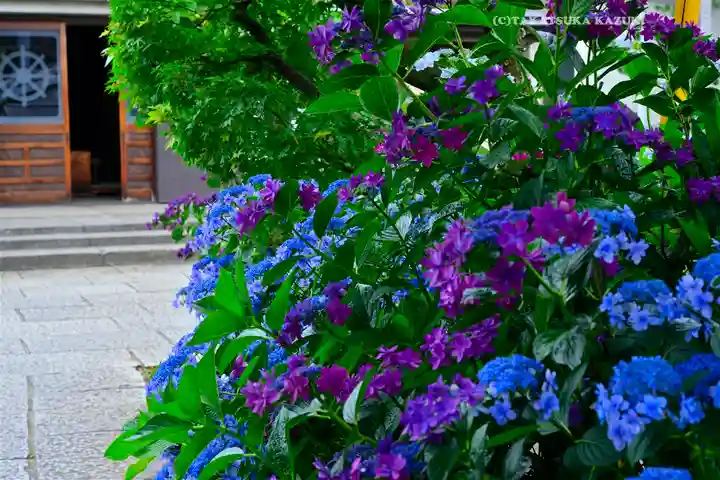 宝祥寺(東京都)