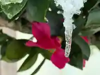 西方山極楽寺(岐阜県)