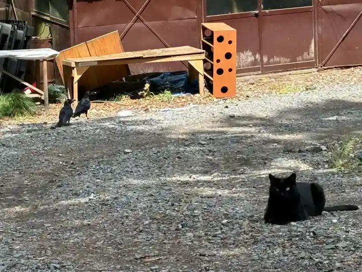 唐澤山神社(栃木県)
