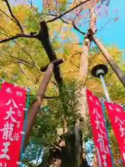 秩父今宮神社の建物その他