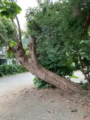 虚空蔵堂(神奈川県)