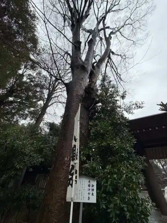 阿佐ヶ谷神明宮の{uncategorized: "未分類", other: "その他", undefined: "問題あり", building: "その他建物", grave: "お墓", sacred_gate: "鳥居", guardian: "狛犬", statue: "像", buddha: "仏像", history: "歴史", nature: "自然", garden: "庭園", animal: "動物", pagoda: "塔", temizu: "手水舎", mountain_gate: "山門・神門", sanctuary: "本殿・本堂", subordinate: "末社・摂社", art: "芸術", scenery: "景色", jizo: "地蔵", ema: "絵馬", goshuin: "御朱印", omikuji: "おみくじ", items: "授与品その他", amulet: "お守り", goshuincho: "御朱印帳", eats: "食事", festival: "お祭り", votive_dance: "神楽", shichigosan: "七五三参", wedding: "結婚式", experience: "体験その他", initially: "初詣", around: "周辺", anti_infection: "感染症対策"}