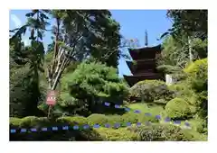 国宝 大法寺の庭園