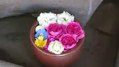 菅生神社の手水舎