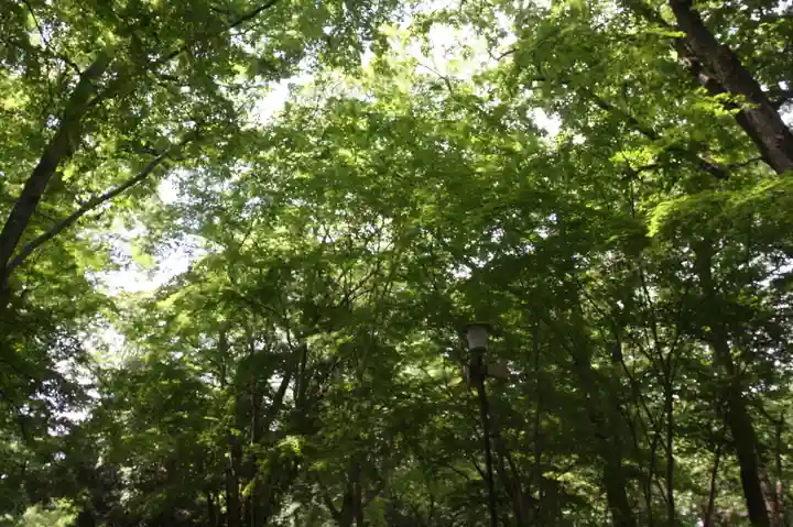 賀茂御祖神社(下鴨神社)(京都府)