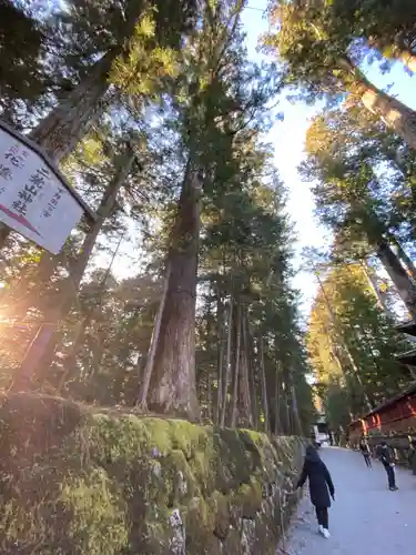 日光二荒山神社のその他建物
